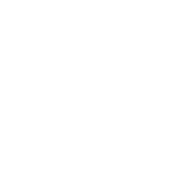 ce logo Owosso